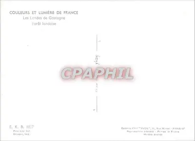 Bosque Landais — Los Landes de Gascogne — Editores de Arte "YVON", París — Reverso