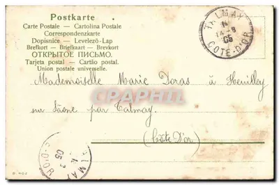 Violets — Bonne Fête — éditeur inconnu, n° de série non visible — Rewers