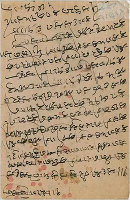 Churu — postcard decorated with daisies — publisher unknown — Back