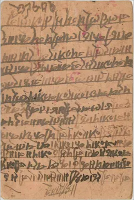 Amer — Lettera rifiutata — D.L.O. Amer — Verso