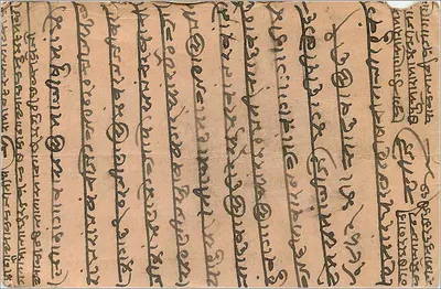 Kwitki edelweiss — indyjska kartka pocztowa — P. Chhutantal Pyarelal Jain & Co., Bombay — Rewers