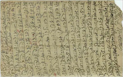 Tropicalny krajobraz — palmiwa i skały — wydawca 8. ABDEALI and SHAMSUDIN, Bombay — Rewers