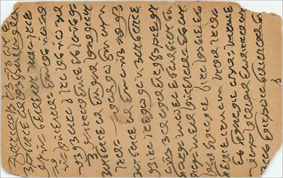 Ilustrowana kartka pocztowa — ptaki na bukszpanie — wydawca Enayathally Mosinally Co., Delhi — Rewers