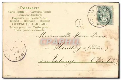 Íris — ilustração botânica — Amicale No. 3 — Verso