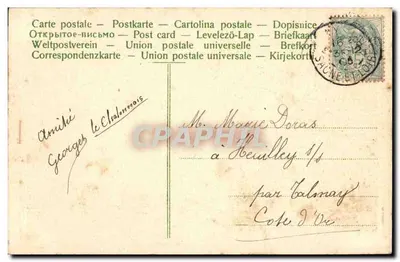 Flores de pensamento rosas — com joaninha — n° 16 — Verso