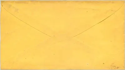 Fowlesville — Carta para Sr. H. Bardon, M.D. em Penn Yan, NY — selo de 5 centavos — Verso