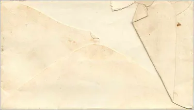 Cartolina americana — Danbury, Connecticut — timbro da 3 centesimi — Verso