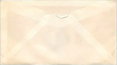 골든 게이트 브리지 — 고속도로 우체국 서비스 — 샌프란시스코 & 팔리시프로브 H.P.O. — 뒷면