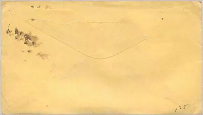 Antieke ansichtkaart met adres naar Mrs S J Sayre, Chephas Gagger Esq, Speonk, Suffolk Co, L.I. — postzegel van 3 cent U.S. — afstempeling 'Rochester NY 25' — gedateerd ongeveer 1866 — Achterkant