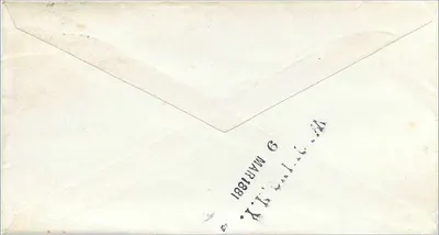 Washington D.C. — Busta datata 7 marzo 1881 — timbro da 3 centesimi George Washington — destinata a Miss Nettie Webster a Wyoming, N.Y. — Verso