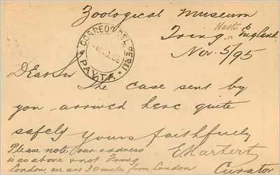 Carta postal de Londres para Pachacamac — União Postal Universal, carimbo de 1 penny — Verso
