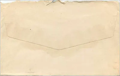 Carta postal enviada para Miss Clara B. Cowell em Shaca, N.Y. — selo de 2 centavos Washington — carimbo postal N.Y. 7 AM 7 PM — Verso