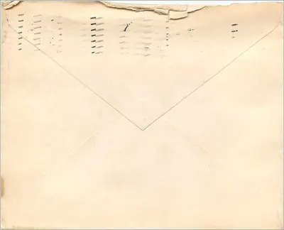 Syracuse, NY — Envelope postal com selo e carimbo postal — datado 1909 — Verso