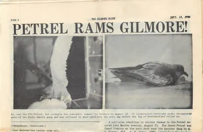 Petrel Rams Gilmore! — The Gilmore Globe, Sept. 15, 1964