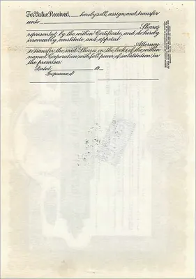 Certificado de acciones de John Blair & Company — Delaware — n° B244 — Reverso