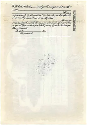 Certificado de acciones de la sociedad John Blair & Company — Delaware — n° B247 — Reverso