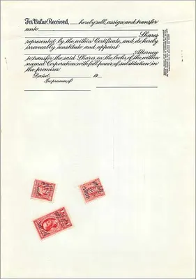 Certificato d'azioni di John Blair & Company — Delaware — edito da Company Dury Co. Chicago — Verso