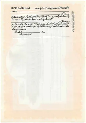 Certificado de acciones de la sociedad John Blair & Company — Delaware — Reverso