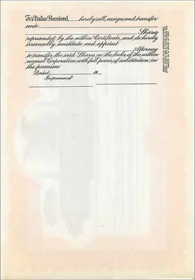 Accionista de John Blair & Company — certificado de preferencia — Delaware — Reverso