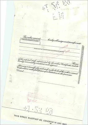 Certificate of Shares of the Great Atlantic & Pacific Tea Company — Fannie K Cohen — No. 0355502 — Back