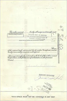 Certificado de ações da Great Atlantic & Pacific Tea Company — David E. Rein — 20 ações — editor First National City Bank — Verso