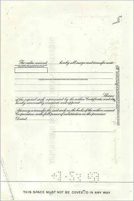Certificate of shares of the Great Atlantic & Pacific Tea Company — Mrs Dorothy B Sheftel — n° 0394202 — Back