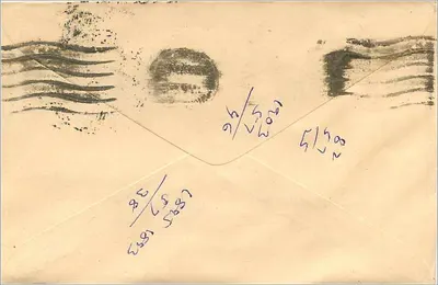Jaipur — Envelope addressed to Mittal Stamp Co. — 100 INR, blue stamp, cancellation 2014Y — Back