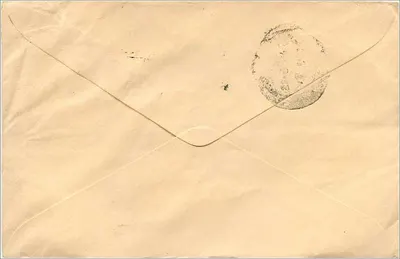 Jaiour — Pokryta znaczkiem listówka 100 rupii — wydawca: Mittal Stamp Company — Rewers