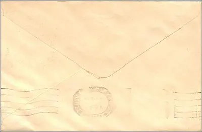 Jaipur — Enveloppe à timbre de 100 roupies — Mittal Stamp Co. — Rewers