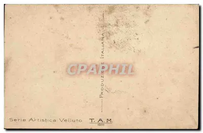 Pruniers — fruits sur branche — T.A.M. 1003 — Verso