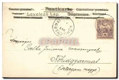 Uccelli in volo — illustrazione — editore non identificato, n° di serie 1098 — Verso