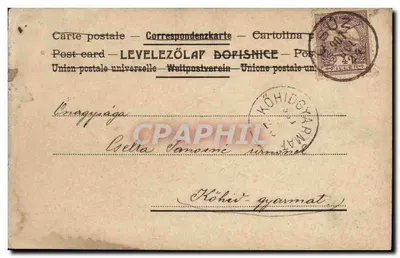Dois crianças em um ninho de pássaros — stork — editor não visível — Verso