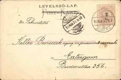 Arranjo de crisântemos — editor Martin Rommel & Co., Stuttgart, n° 507 — Verso