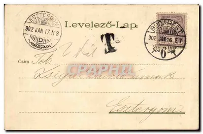 Karta pocztowa z motywem kwiatów — Budapest, 1902 — wydawca Levelező-Lap — Rewers