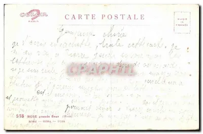 Róże — duża kwiat — Color Paris nr 518 — Rewers