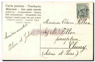Flores rosa e azul — Boa Ano Novo — Cartão postal multilíngue editado por Carte postale – Postkarte — Verso