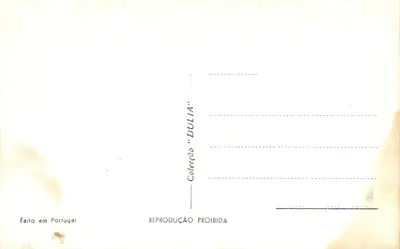 SINTRA—Pałac Monserrate — n° 271 — Rewers