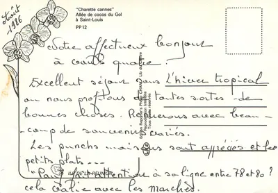 Allée de cocos du Gol a Saint-Louis — Edizione Reporter's Photo CHANE, PP12 — Verso