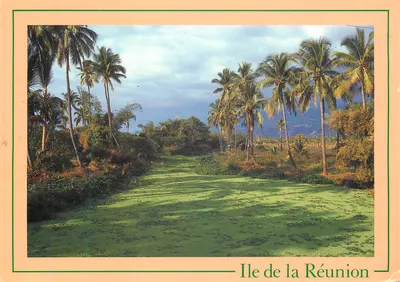 Ilha de Reunião — paisagem com lago e palmeiras — Edições CLIN D'CEIL
