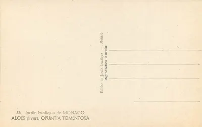Exotic Garden of Monaco — ALOÉS various, OPUNTIA TOMENTOSA — Edition Monaco — Back