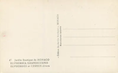 Jardim Exótico de Mônaco — Euphorbes e Cereus diversos — Edição Mônaco — Verso