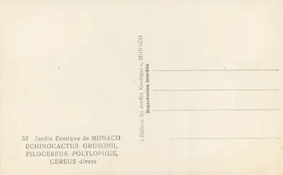 Giardino Esotico di Monaco — Cactus e cactus diversi — Edizione Monaco — Verso