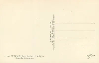 Opuntia tomentosa — Mônaco — Éditions La Citogne — Verso