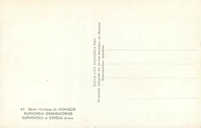 Exotischer Garten von Monaco — Euphorben und Cereus-Arten — Ausgabe « LA CIGOGNE » Nizza — Rückseite