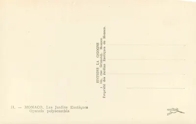Mônaco — Os Jardins Exóticos — Opuntia polyacantha — Verso