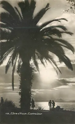 Costa Azul — Contre Jour — 113