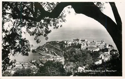 Mônaco - O Rocher — vista panorâmica enquadrada por uma árvore — edição FRANK