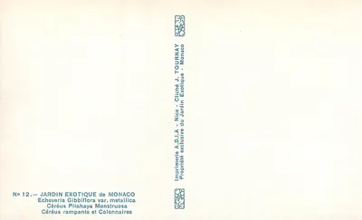 Giardino Esotico di Monaco — Cereus rampanti e Colonnari — J. Tournay — Verso