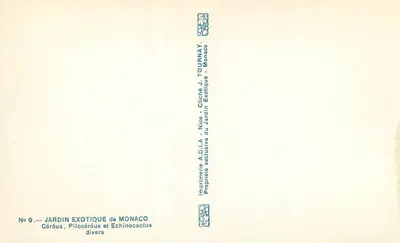 Giardino Esotico di Monaco — Cereus, Pilocereus e Echinocactus diversi — Tipografia A.D.I.A. Nizza — Verso