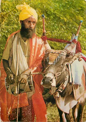 Homem com turbante amarelo com uma vaca ornada — Ganga Saran & Sons (P) Ltd. — série não visível